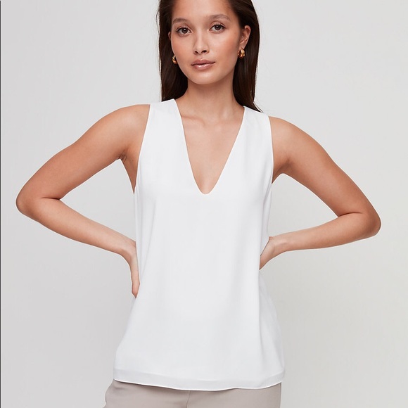Aritzia Babaton Maddox Blouse